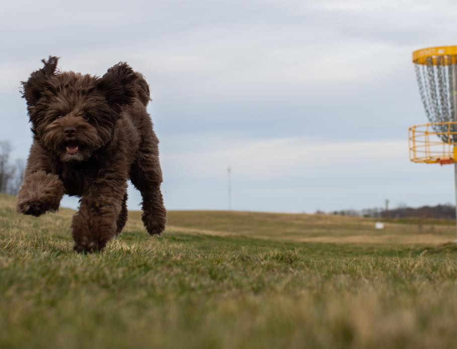 Ella’s rushing in to tell you all about her favorite fishy, Sniff and Shift on Instagram