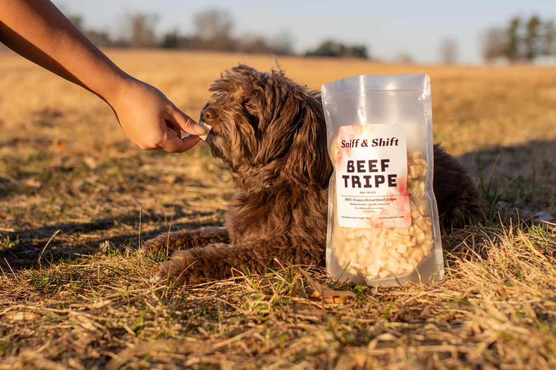 Time to shift gears,freeze-dried beef tripe just hit the lineup, Sniff and Shift on Instagram