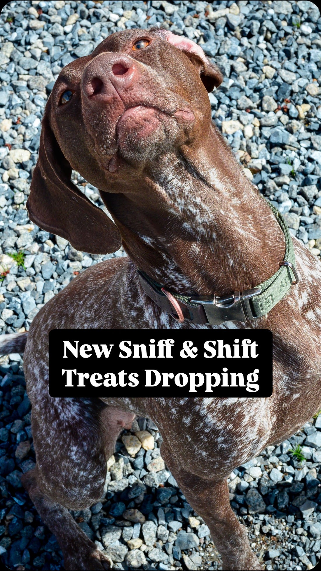 The wait is OVER, our products are officially dropping THIS WEEK, Sniff and Shift on Instagram