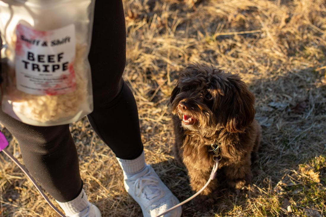 Have you ordered your Sniff & Shift treats yet, Sniff and Shift on Instagram