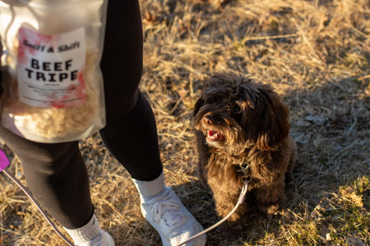 Have you ordered your Sniff & Shift treats yet, Sniff and Shift on Instagram