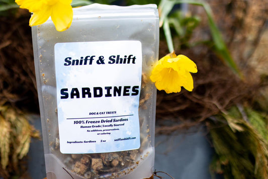 Cruising into something fresh: introducing freeze-dried sardines, Sniff and Shift on Instagram