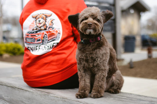 We’ve gotta hit the brakes for a quick moment to celebrate someone, Sniff and Shift on Instagram