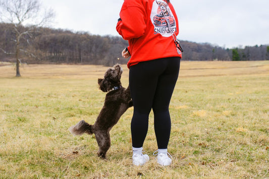Training just got a whole lot tastier, Sniff and Shift on Instagram