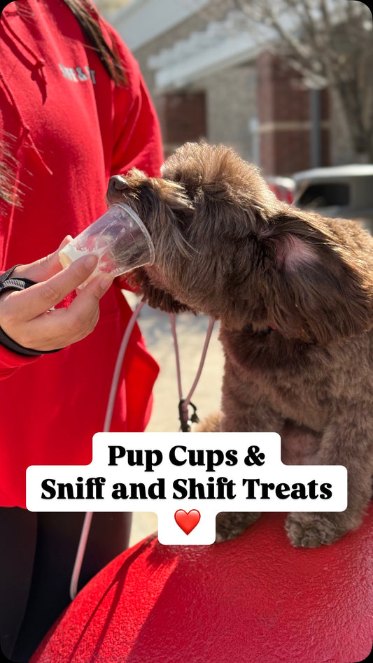 When the treats and the pup cup hit just right… it’s a full-on, Sniff and Shift on Instagram