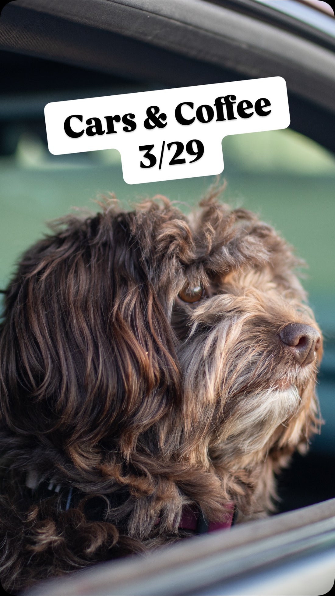 The Sniff and Shift Team took and adventure out to Northbrook Cars, Sniff and Shift on Instagram