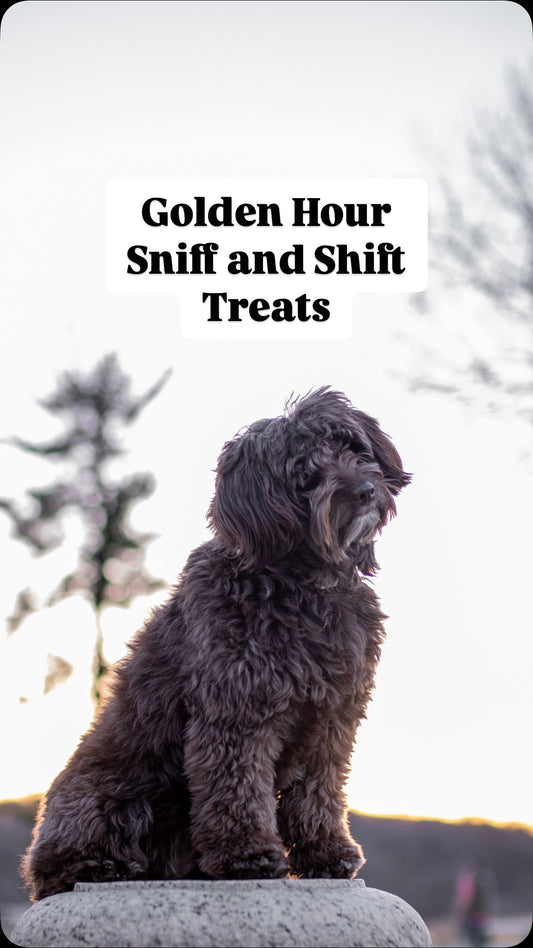 Golden hour hits different with Sniff & Shift treats in paw, Sniff and Shift on Instagram