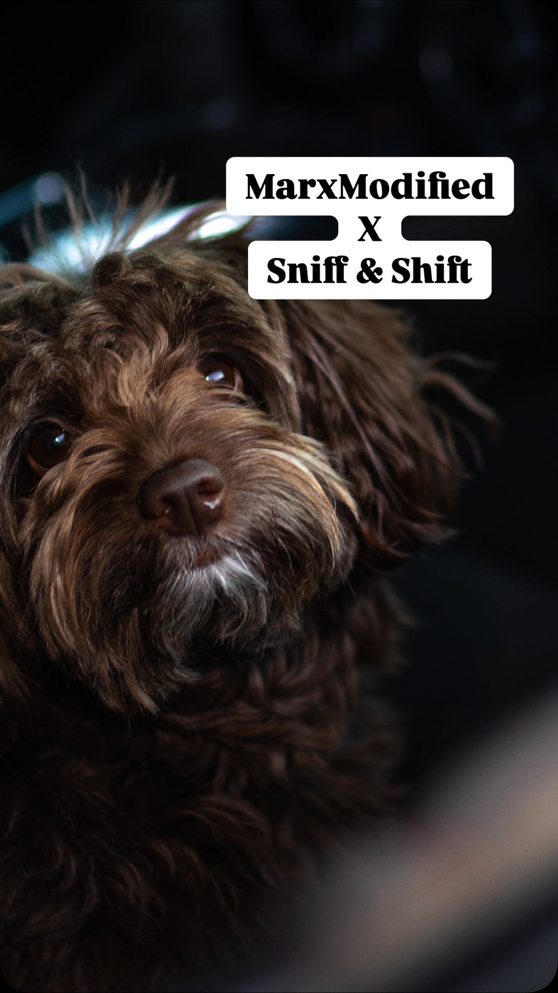 Gearing up for Mainline Cars & Coffee like…, Sniff and Shift on Instagram