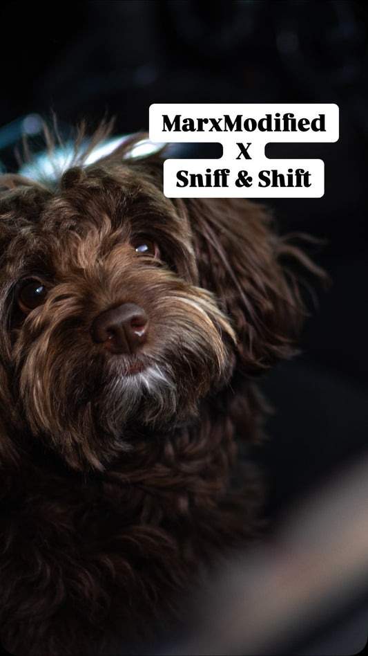 Gearing up for Mainline Cars & Coffee like…, Sniff and Shift on Instagram
