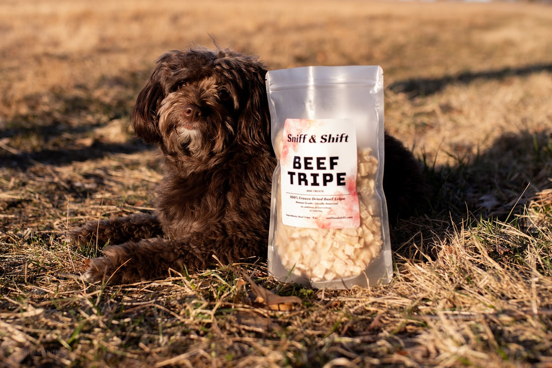 In case you missed our other drops… just a lil reminder that our, Sniff and Shift on Instagram