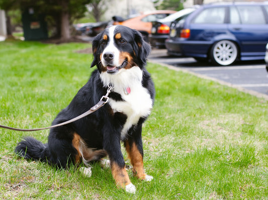 Did you miss us in person these last two weekends, Sniff and Shift on Instagram