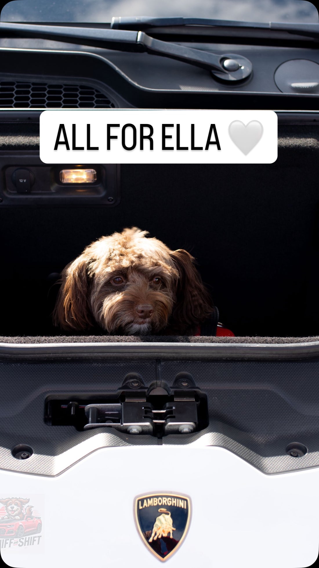Suddenly it’s 2025,running a dog treat biz, spending time with, Sniff and Shift on Instagram