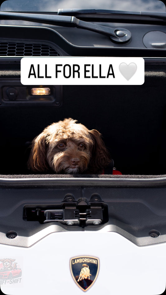 Suddenly it’s 2025,running a dog treat biz, spending time with, Sniff and Shift on Instagram