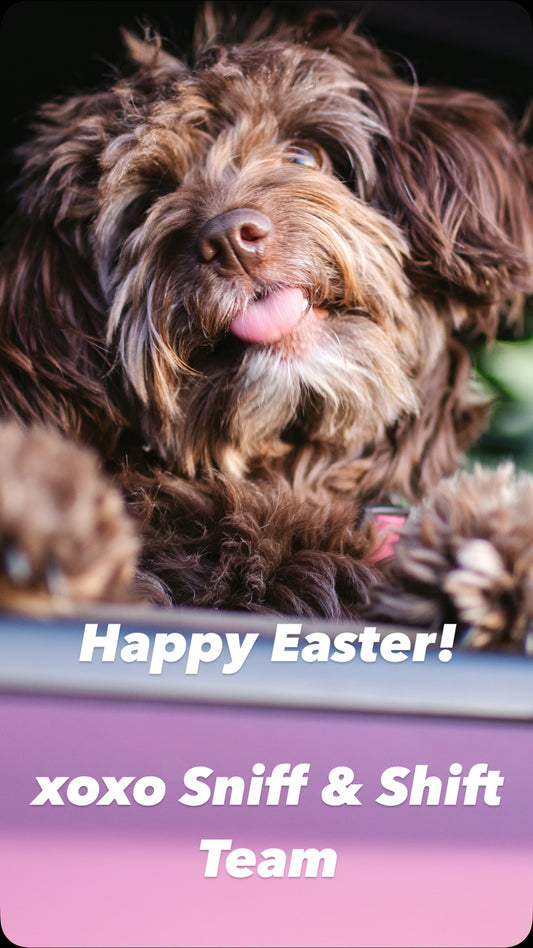 Happy Easter from the Sniff & Shift team, Sniff and Shift on Instagram