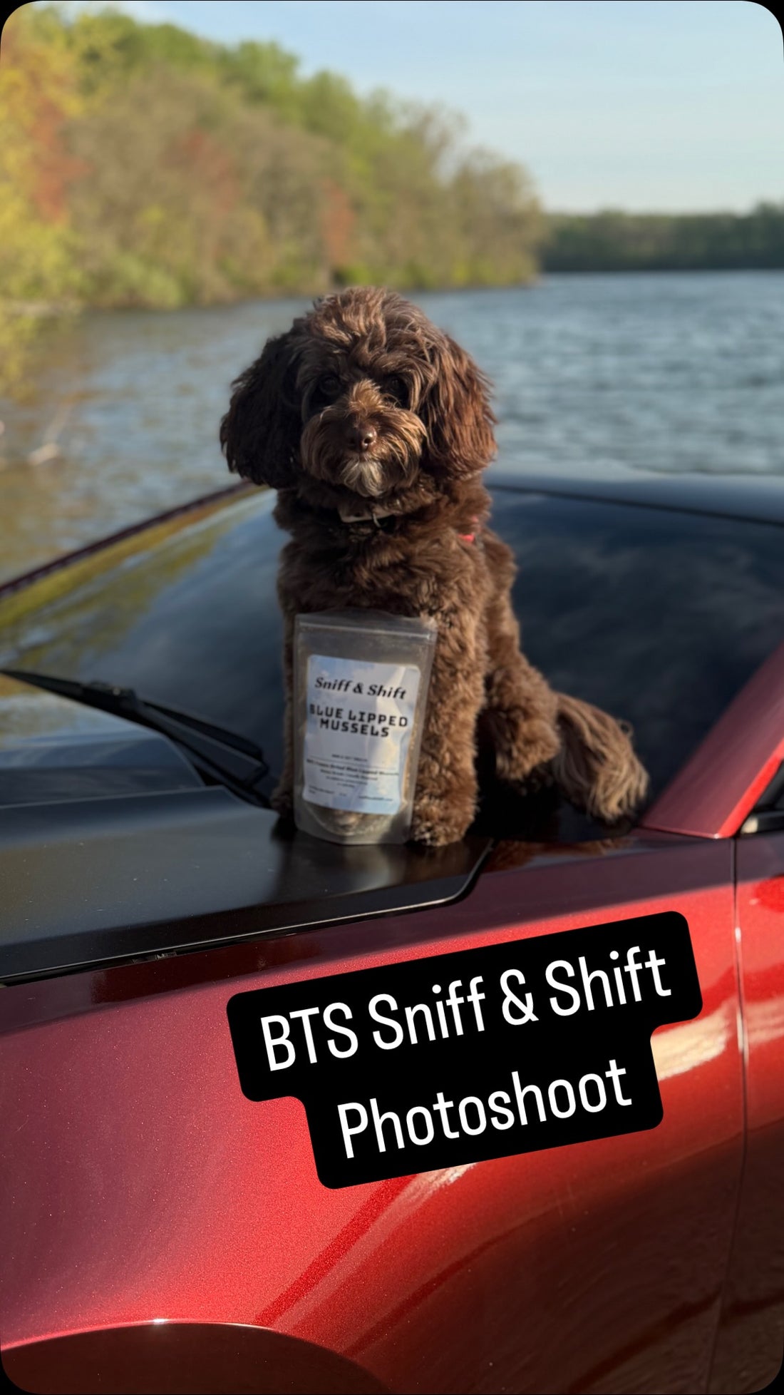 Behind-the-scenes photoshoot with one of our founders and official, Sniff and Shift on Instagram