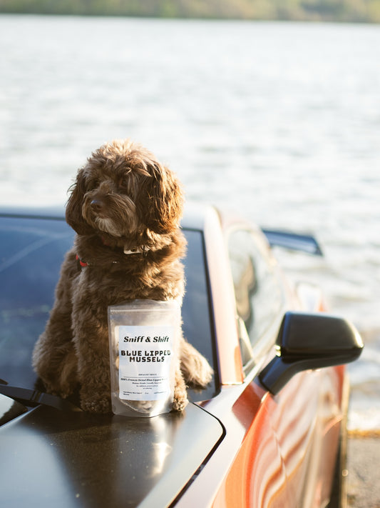Ella’s here to remind you that our Blue Lipped Mussels just dropped, Sniff and Shift on Instagram