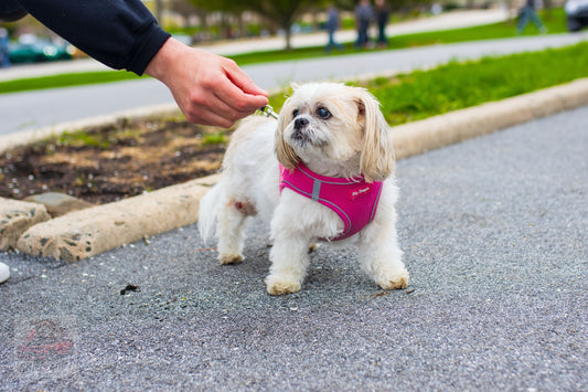 New to the lineup, Sniff and Shift on Instagram