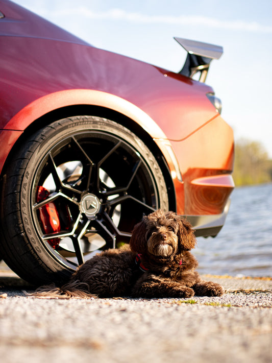 Where’s the road taking us this month, Sniff and Shift on Instagram