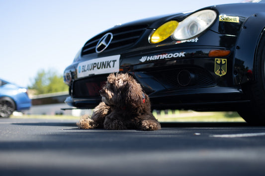 We’re super excited for some things we’ve been cooking up behind, Sniff and Shift on Instagram