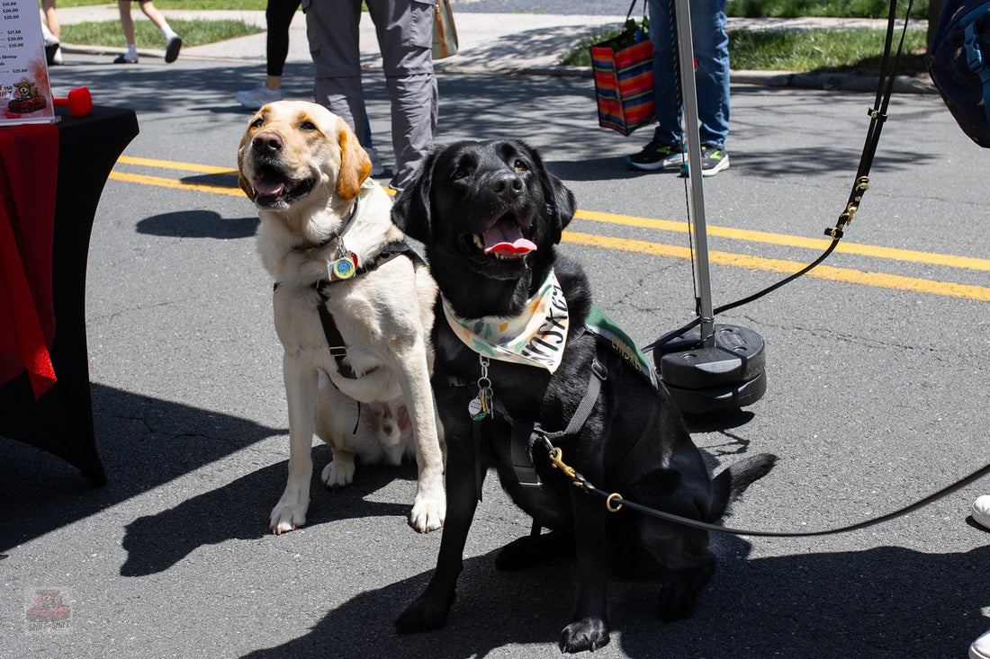 Pit Crew Post, June 10, 2025, Sniff and Shift on Instagram