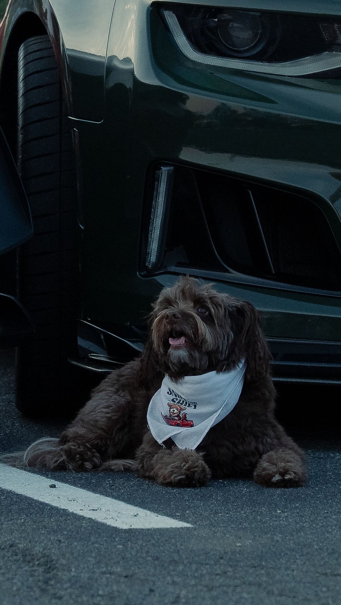 Pit Crew Post, July 17, 2025, Sniff and Shift on Instagram