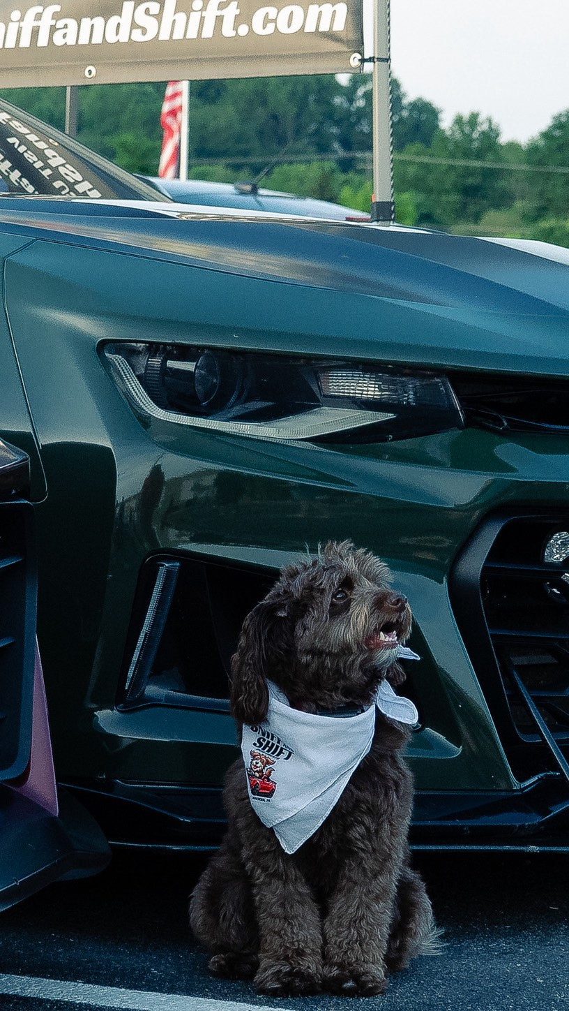 Adventure’s always better with your co-pilot riding shotgun, Sniff and Shift on Instagram