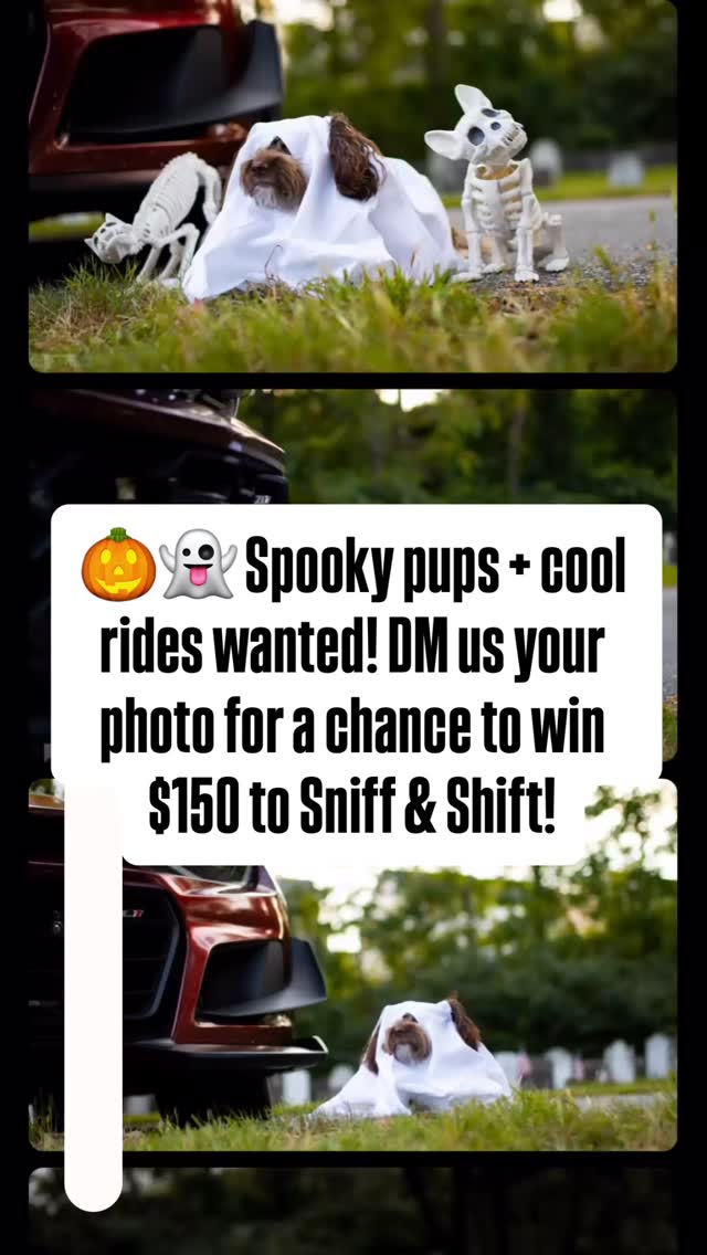 Pit Crew Post, September 17, 2025, Sniff and Shift on Instagram