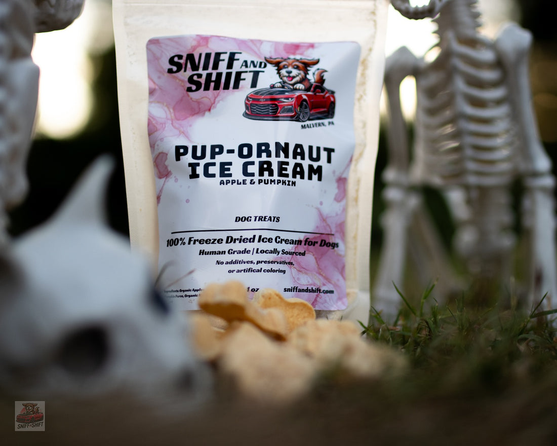 Haunted highways, spooky nights, and freeze-dried bites, Sniff and Shift on Instagram