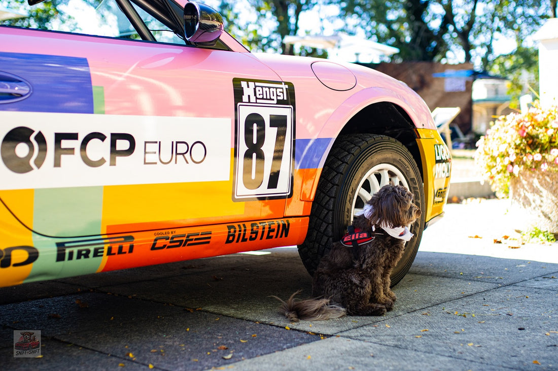 Pit Crew Post, September 21, 2025, Sniff and Shift on Instagram