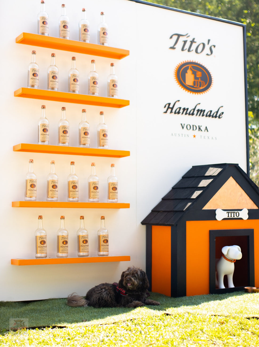 Ella may not drink it, but she sure knows Tito’s is top-shelf, Sniff and Shift on Instagram