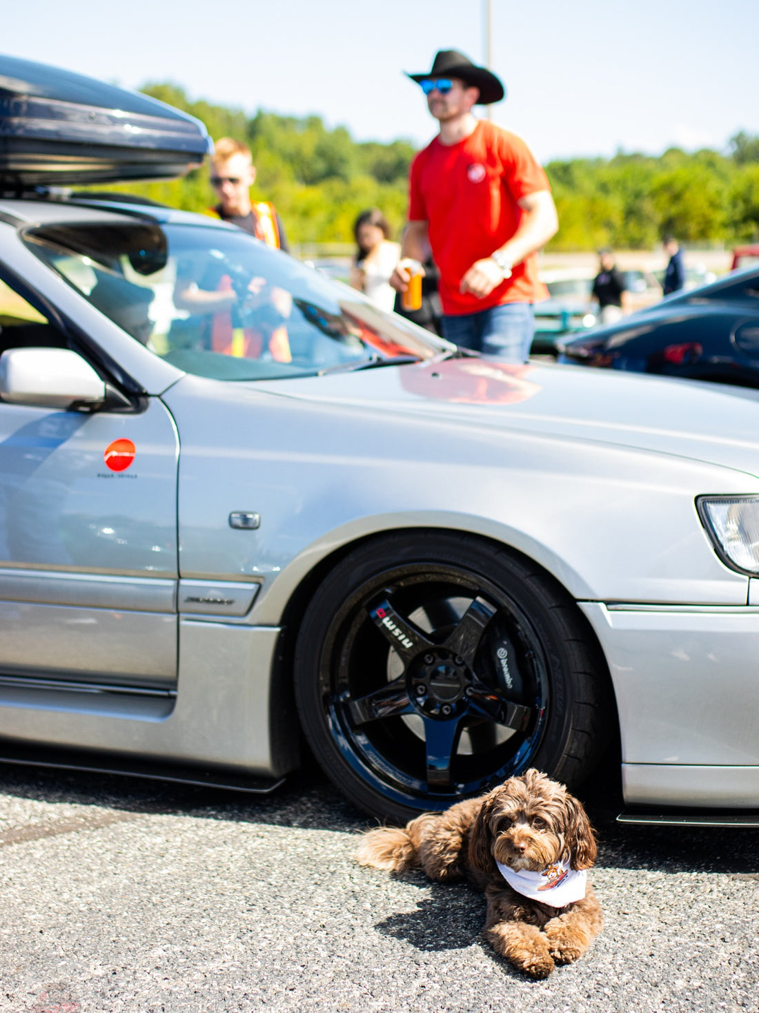 Ella’s favorite thing, Sniff and Shift on Instagram