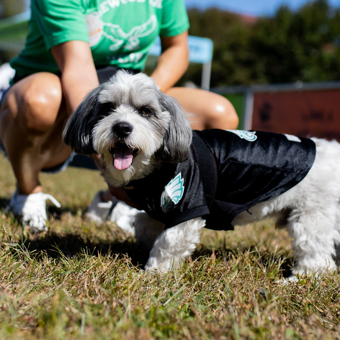 Football season is here, and our co-pilots are ready to fetch, Sniff and Shift on Instagram
