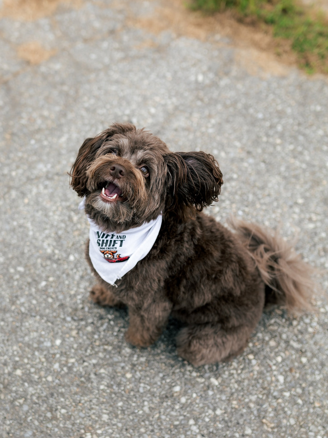 In honor of Fall Cruise Weekend, Sniff and Shift on Instagram