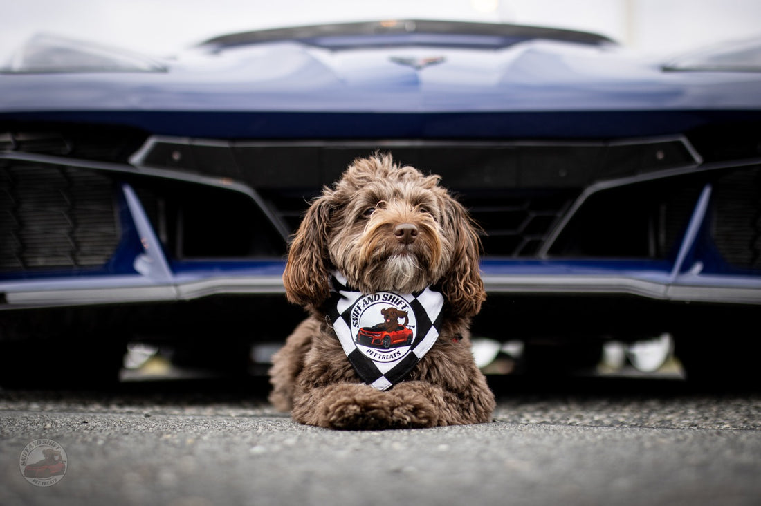 Day 9 of 24 Days of Shiftmas and Ella’s pulling into today’s pit, Sniff and Shift on Instagram