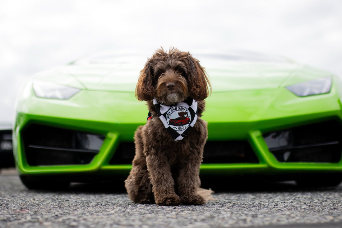 Day 1 of 24 Days of Shiftmas is officially here, and we’re kicking, Sniff and Shift on Instagram