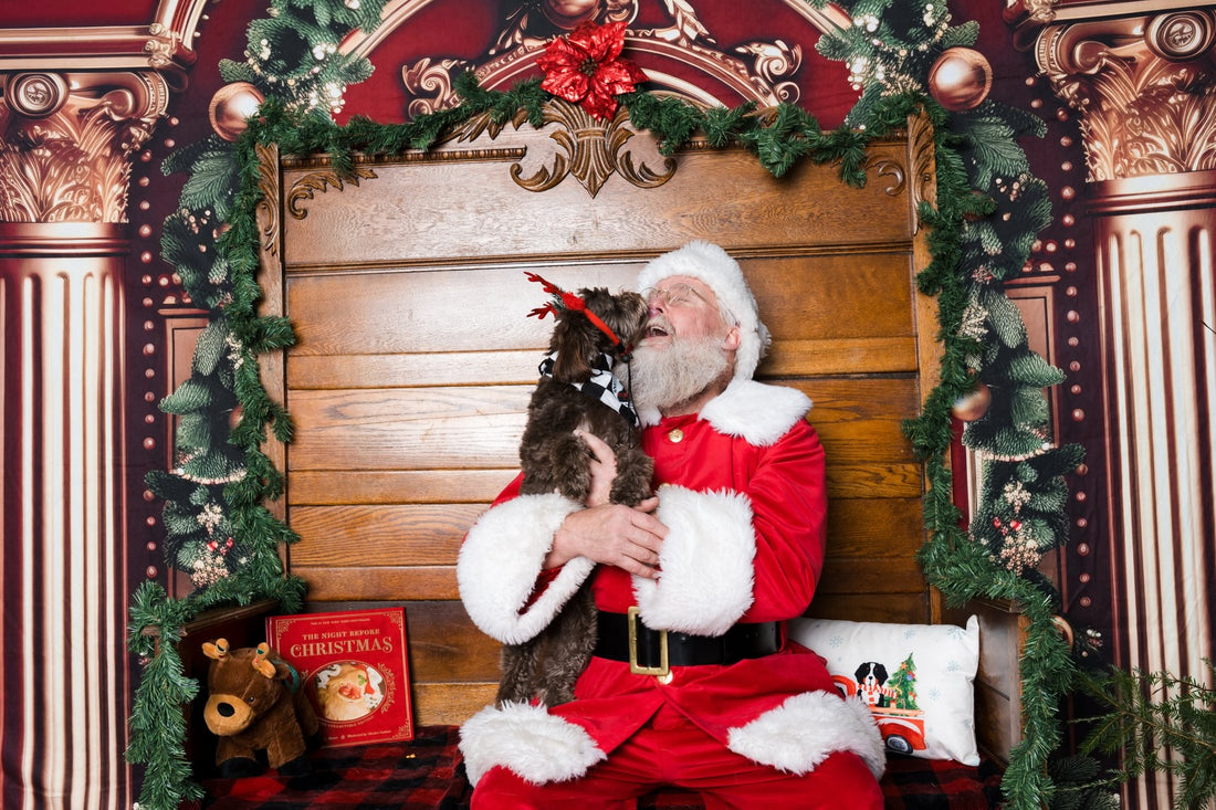 Santa Paws came and paid a special visit to Ella, Sniff and Shift on Instagram