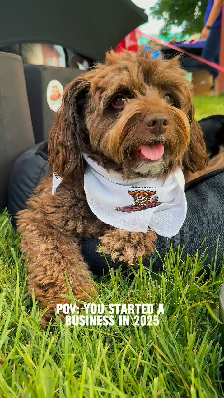 So thankful we took the leap and started Sniff & Shift this year, Sniff and Shift on Instagram