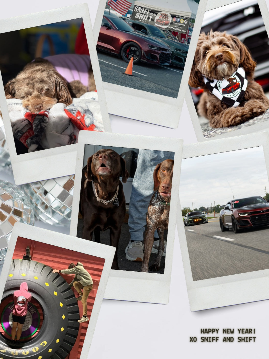 Happy New Year, Sniff and Shift on Instagram