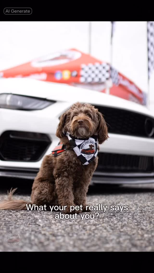 Be honest… if your dog could talk, what do you think they’d say, Sniff and Shift on Instagram