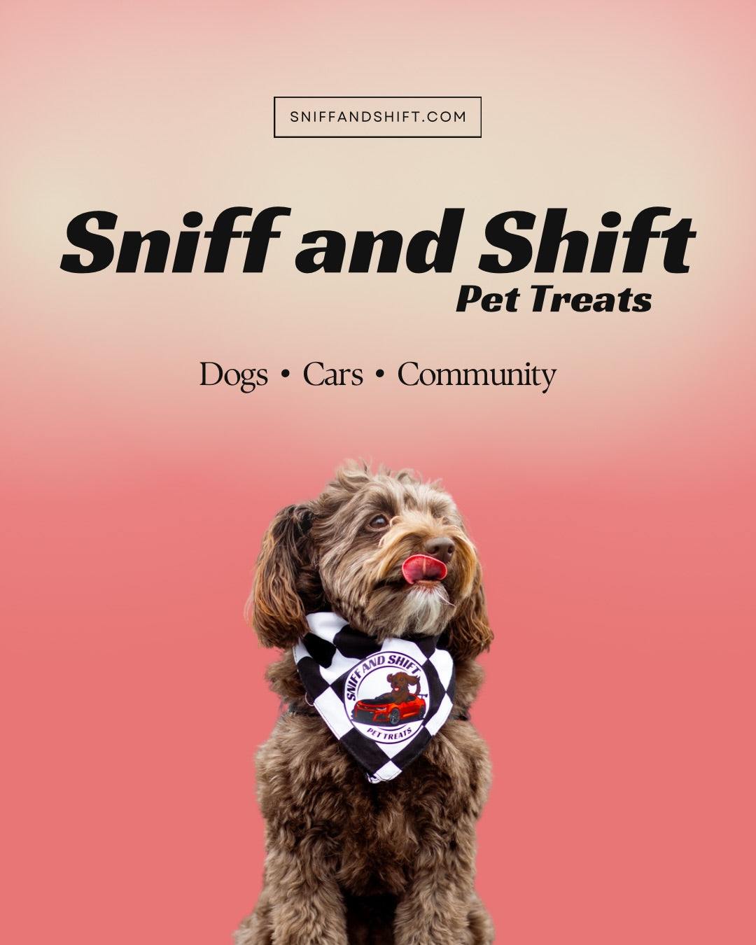 Pit Crew Post, January 3, 2026, Sniff and Shift on Instagram