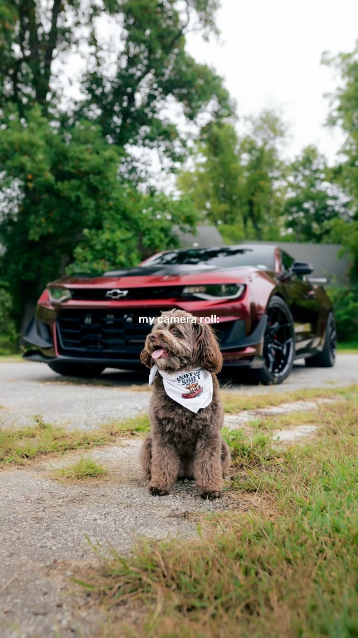 Yeah, go ahead and check my camera roll… it’s just cars, Ella, and, Sniff and Shift on Instagram