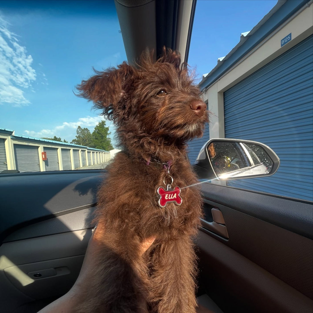 Snow days are cute and all…, Sniff and Shift on Instagram