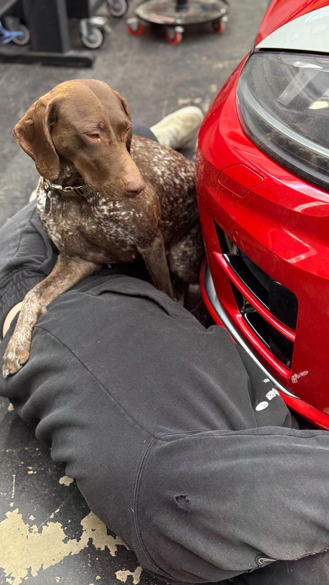 Car season really can’t come fast enough, Sniff and Shift on Instagram