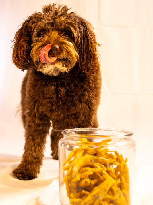 Who took the foot out of the cookie jar…, Sniff and Shift on Instagram