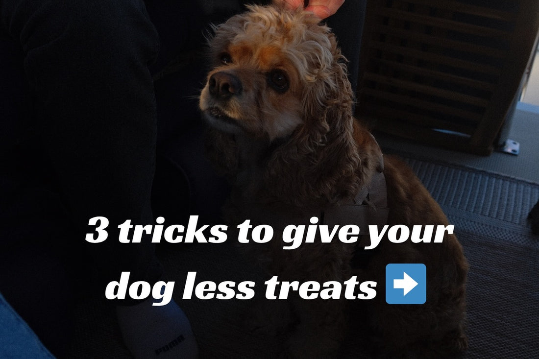 3 tricks to give your dog less treats…, Sniff and Shift on Instagram