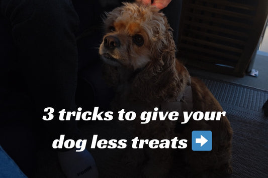 3 tricks to give your dog less treats…, Sniff and Shift on Instagram