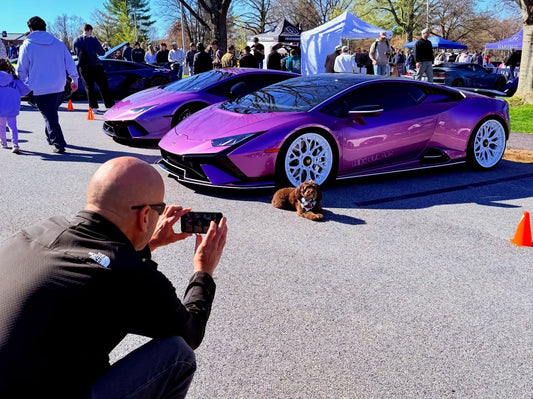 Car season = Ella in her element, Sniff and Shift on Instagram