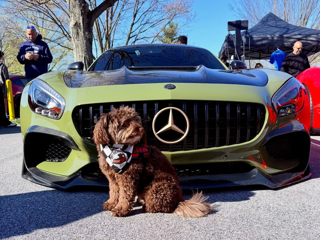 At this point, it wouldn’t be a car meet without Ella making her, Sniff and Shift on Instagram