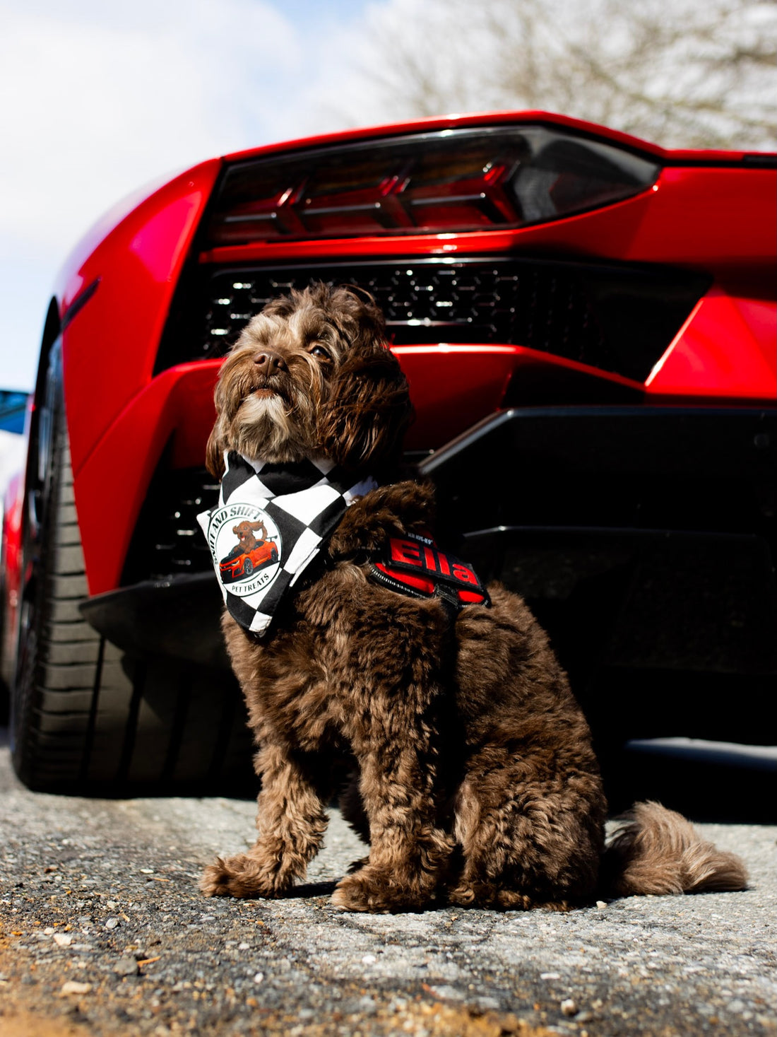 Red isn’t just a color… it’s Ella’s signature, Sniff and Shift on Instagram
