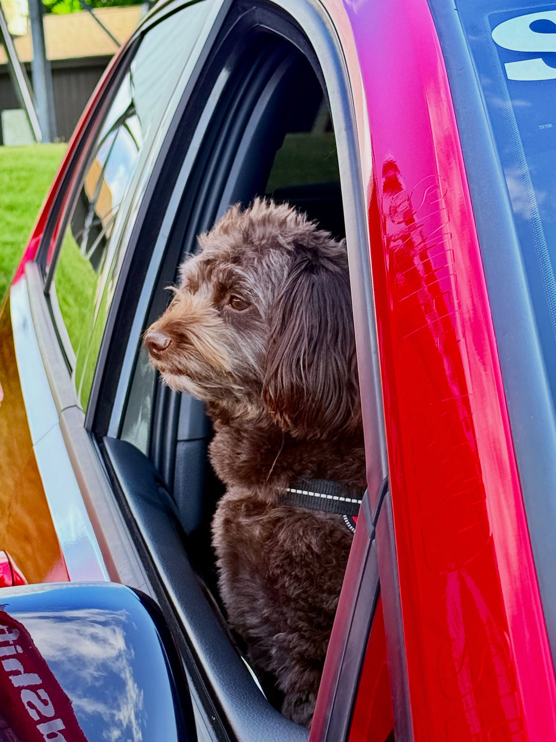 Happy Mother’s Day from our team to all the amazing moms out there, Sniff and Shift on Instagram